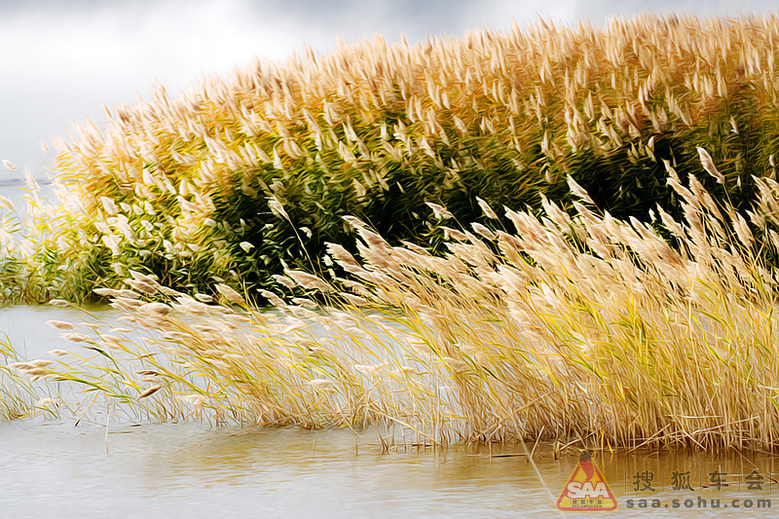 【大西北自驾游记】--内蒙额济纳居延海_北京