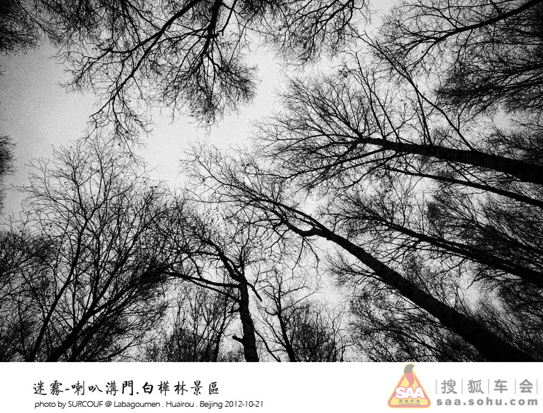 Img5775736_780.JPG
