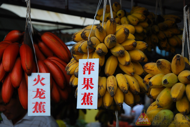 南沙穿越之旅从花都到广州300公里自驾文章行清真美食美食图片