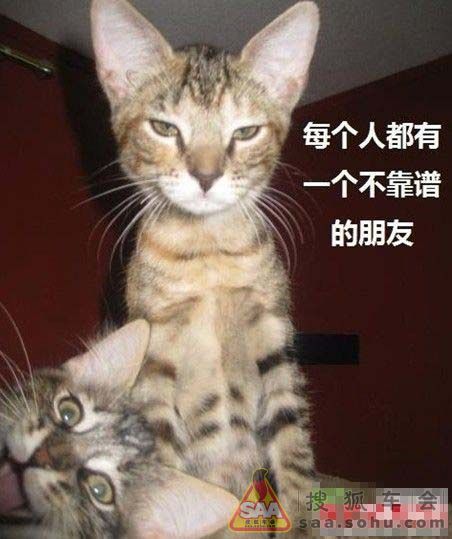 恶搞微电影:《撞车》 - 新君越车友会