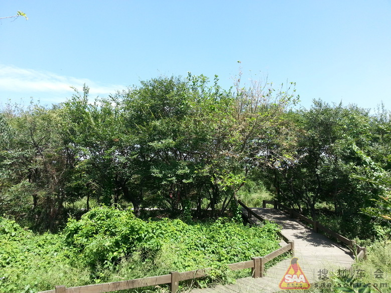 唐山菩提岛自驾游,来照片了。_天津车友会