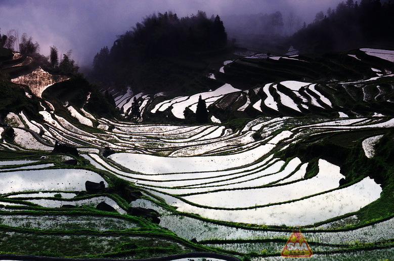 *中国最美梯田浙江丽水云和梯田*_上海车友