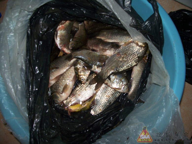 梦见自家地窑有鱼捞上煮吃自己不愿意 梦见自家地窑有鱼捞上煮吃自己不愿意