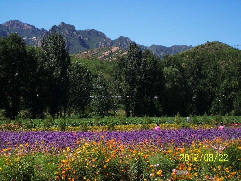 非著名景点之京郊百里山水画廊一日游