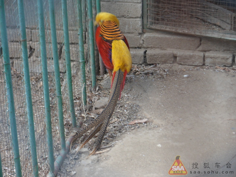 【福苑杂议0324】3.24植树~红螺湖观光3 - 福