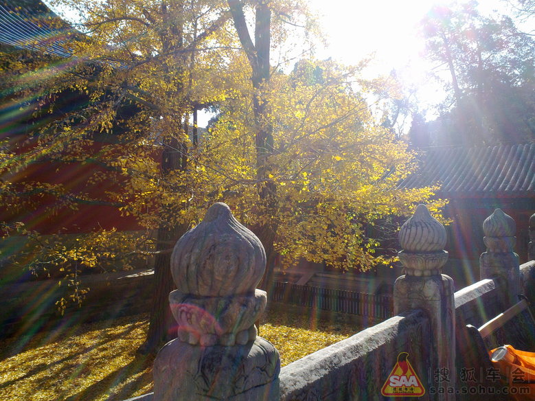 周三不收门票的大觉寺之游(手机版)_汽车60部