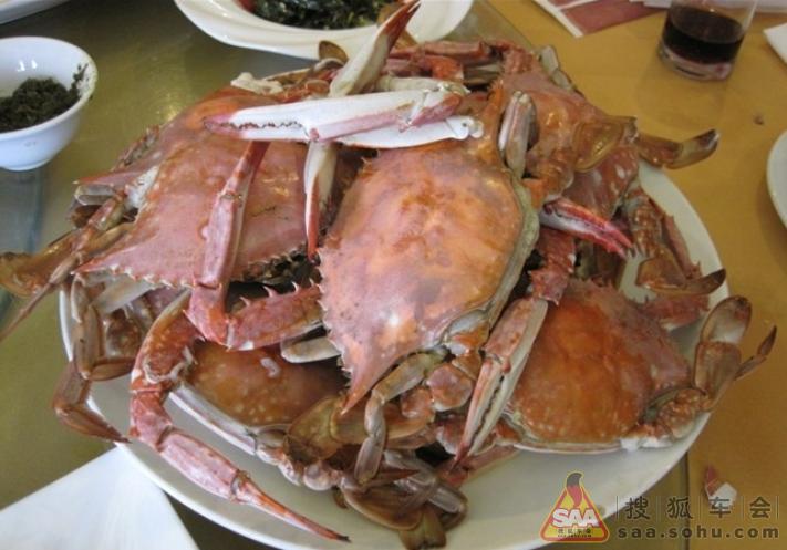 北戴河自驾游:吃货一行,美食无限,内送沙滩美女