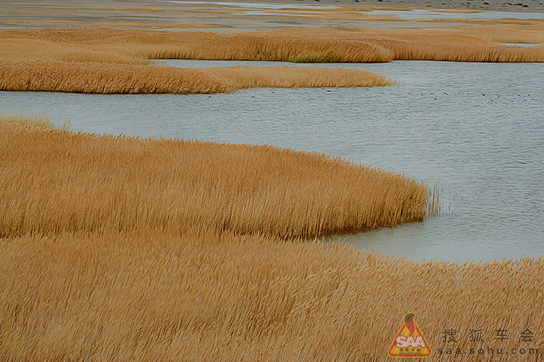 【大西北自驾游记】--内蒙额济纳居延海_北京