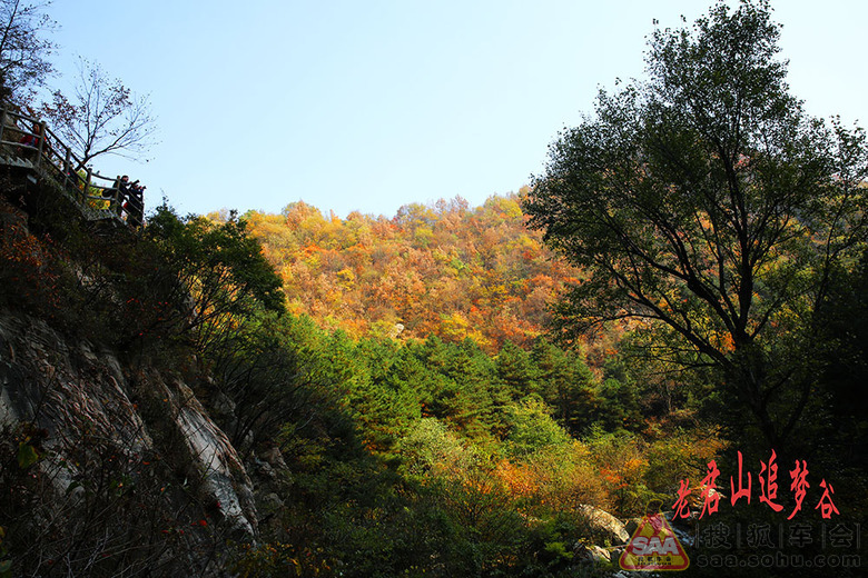 Img9058552_780.jpg