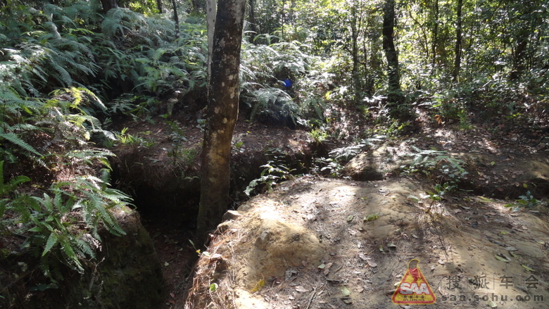 Img3141256_780.JPG