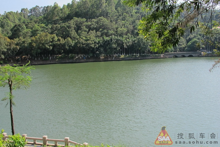 深圳西雅特车主处女作业+东莞行,求鲜花求射精