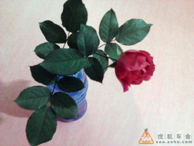 休闲娱乐片_安阳车友会