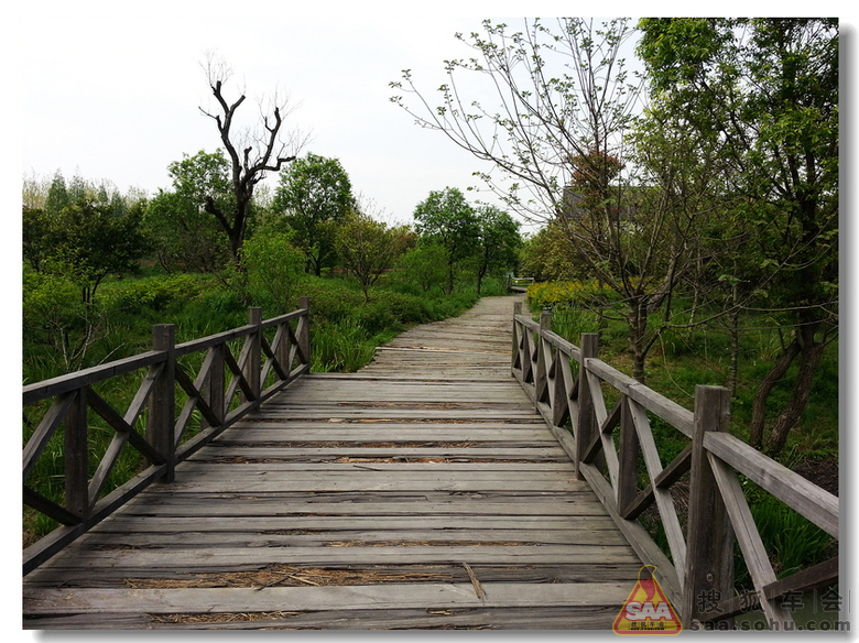 [春到家门口]春风又绿江南岸