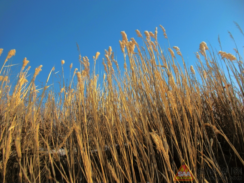 月半弯时悠然   水未溢处从容