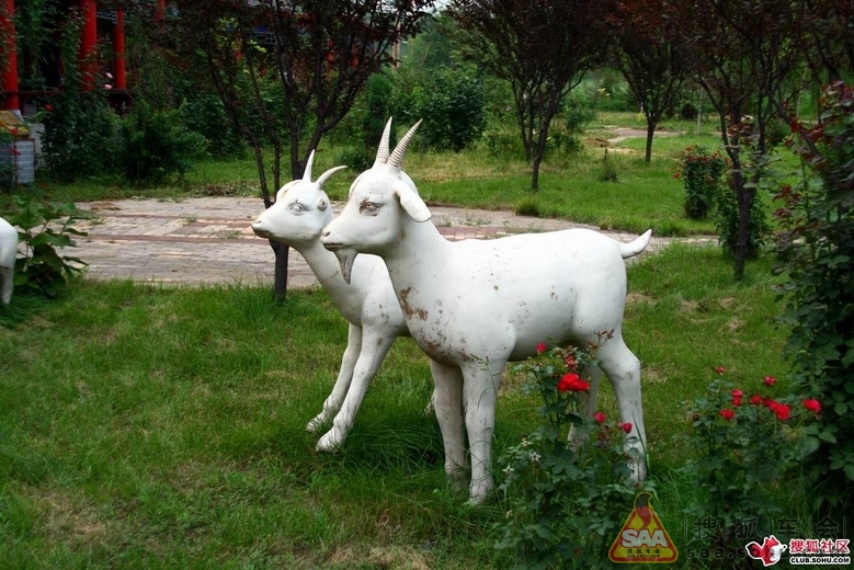 从哪里出发--邯郸游】