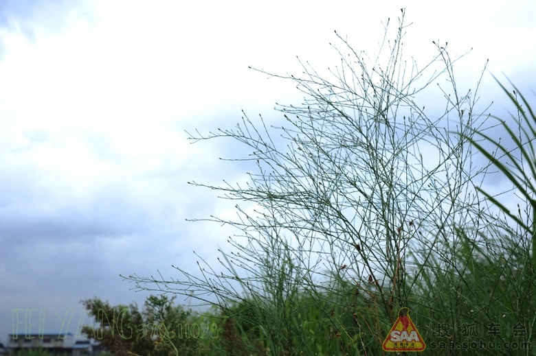 海鸥岛风光---自驾一日游