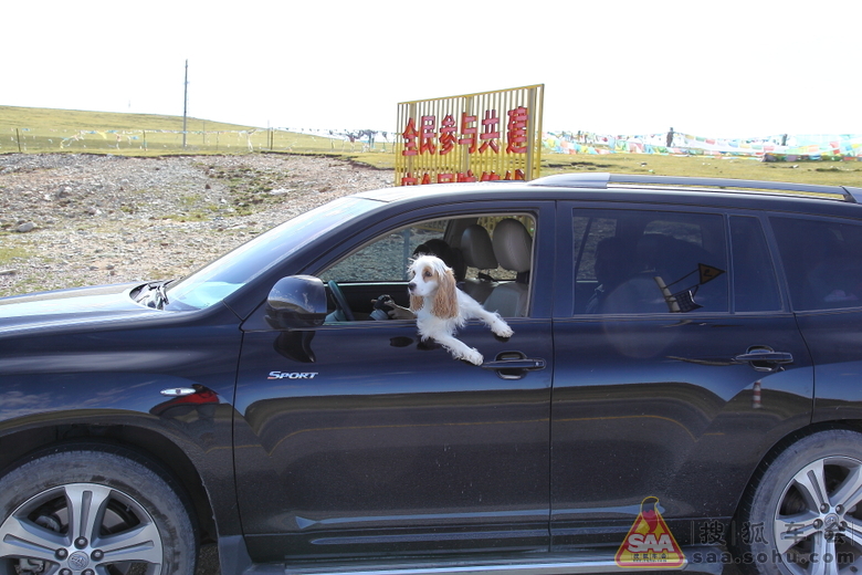 游的乐趣在途中,两只狗陪我走西藏_自驾游车影