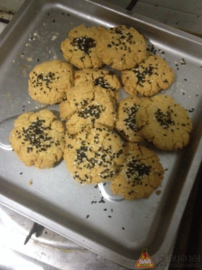 Img9044168_780.jpg