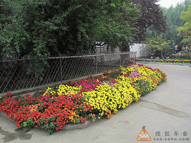 Img2532672_780.JPG
