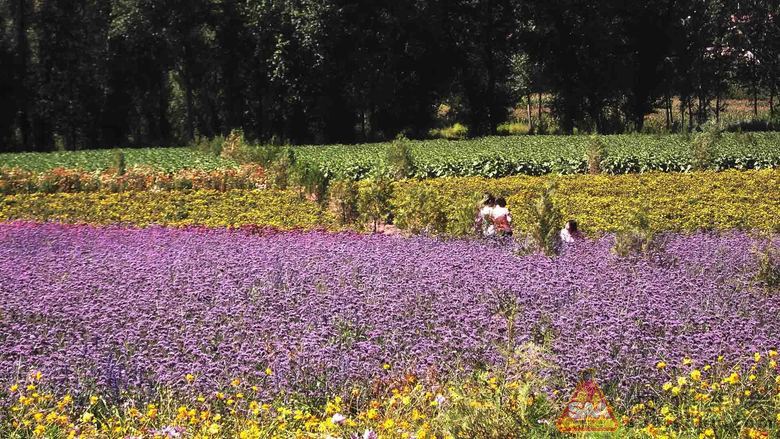 非著名景点之京郊百里山水画廊一日游