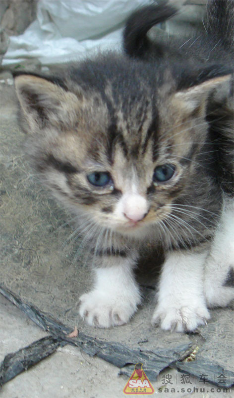 Img1526972_780.jpg