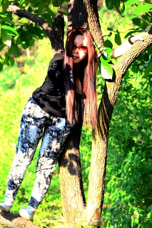 紫藤花开小木屋拍蛇妖 - 宠爱假日