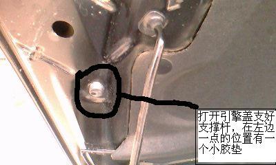 太可气了 狮跑公社高清图片