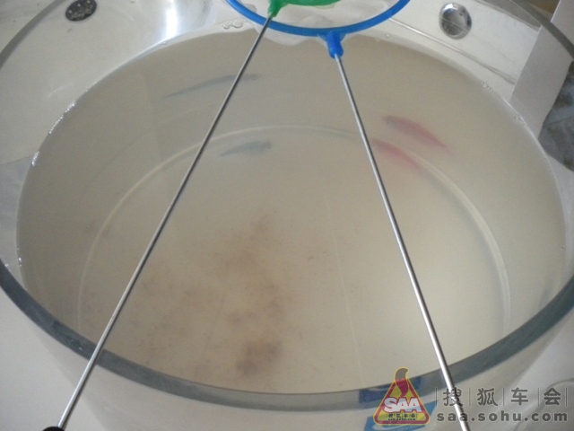 我中毒了 - 乐风-乐友队