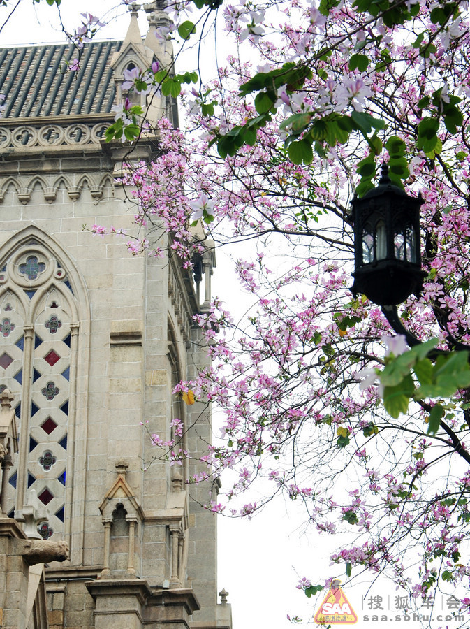 欧洲风广州景 石心教堂与恩宁路