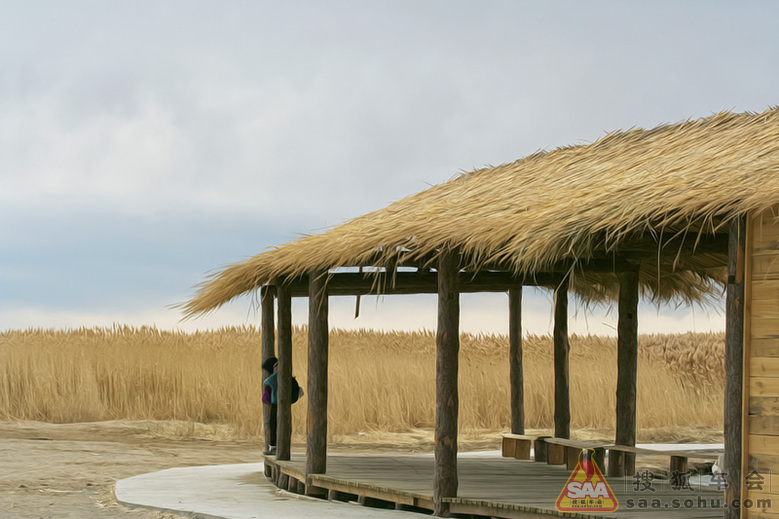 【大西北自驾游记】--内蒙额济纳居延海_北京