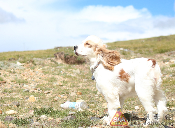 西藏自驾游详细路书-S6单车行 - 比亚迪S6