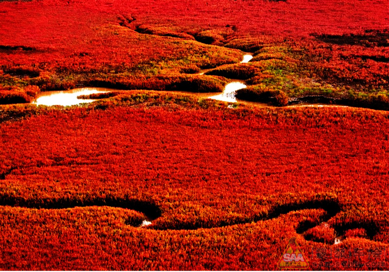 火红的生命邑泽_广州车友会