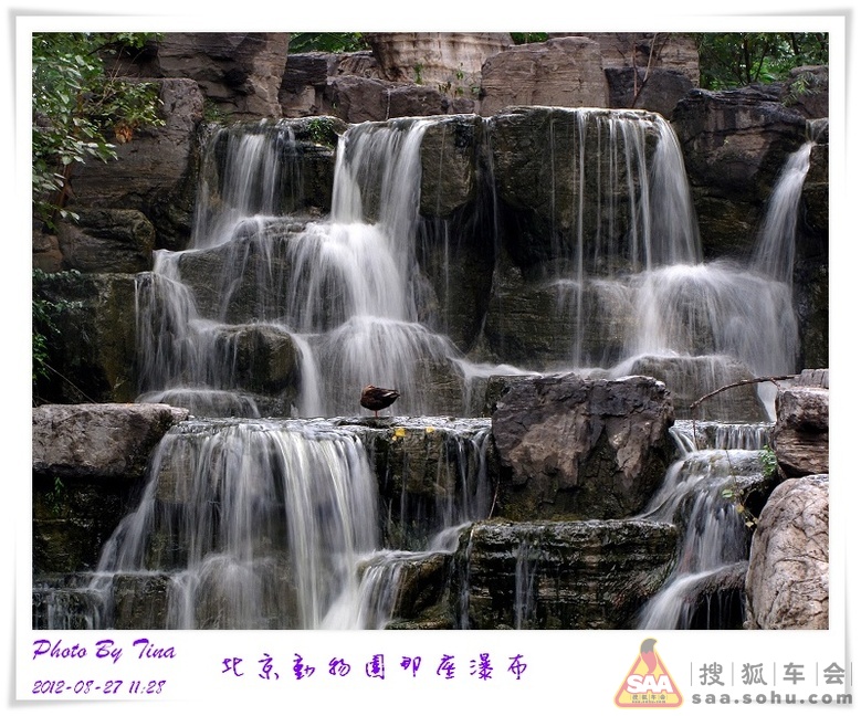 北京动物园那座瀑布
