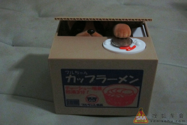 超萌的偷钱柿子狗