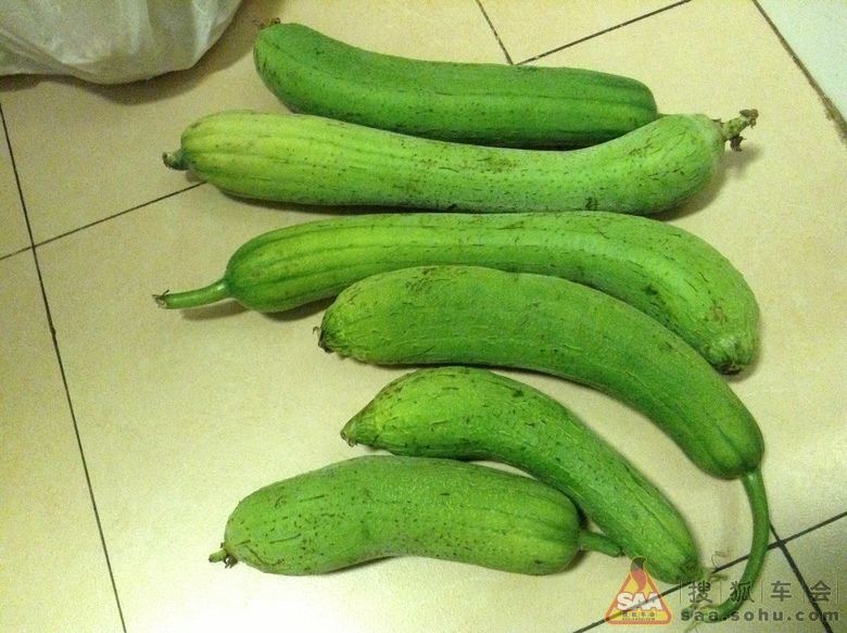 Img8670992_780.JPG