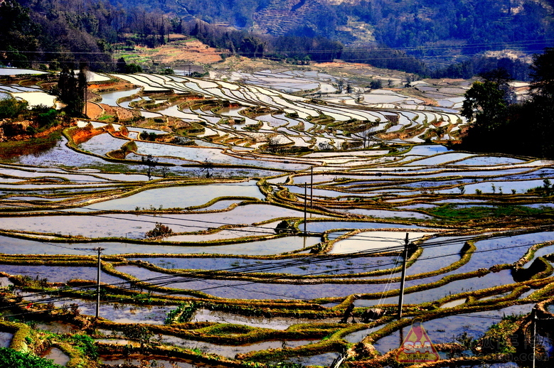 13年春节北京海南广西云南贵州自驾游之《元