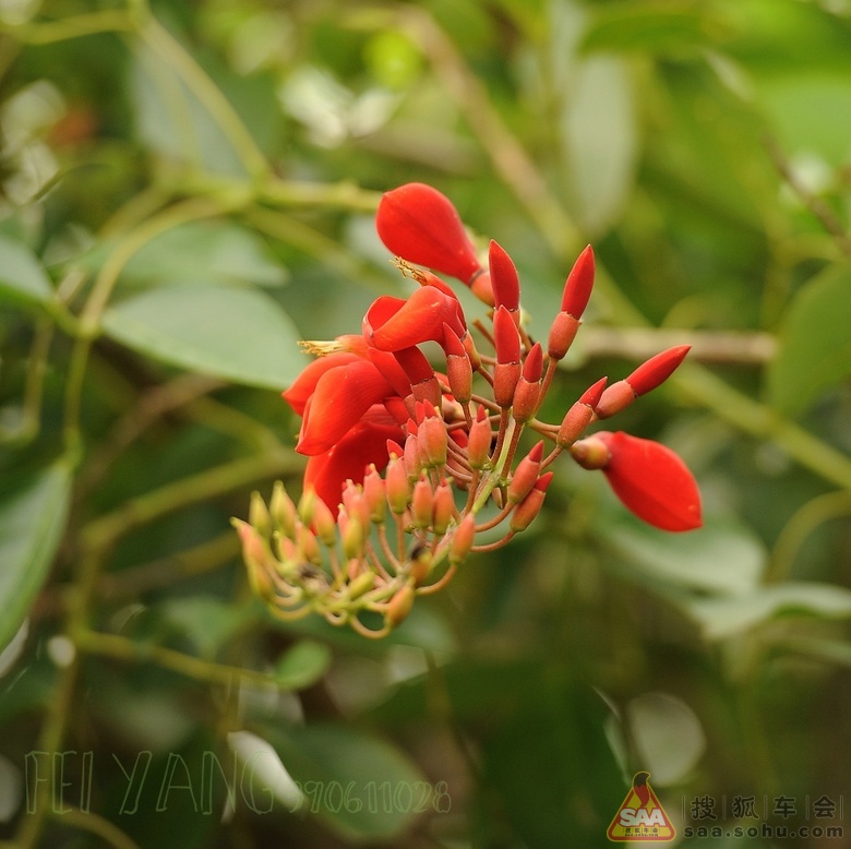 海鸥岛风光---自驾一日游