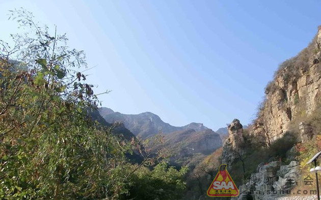 Img9000896_780.jpg