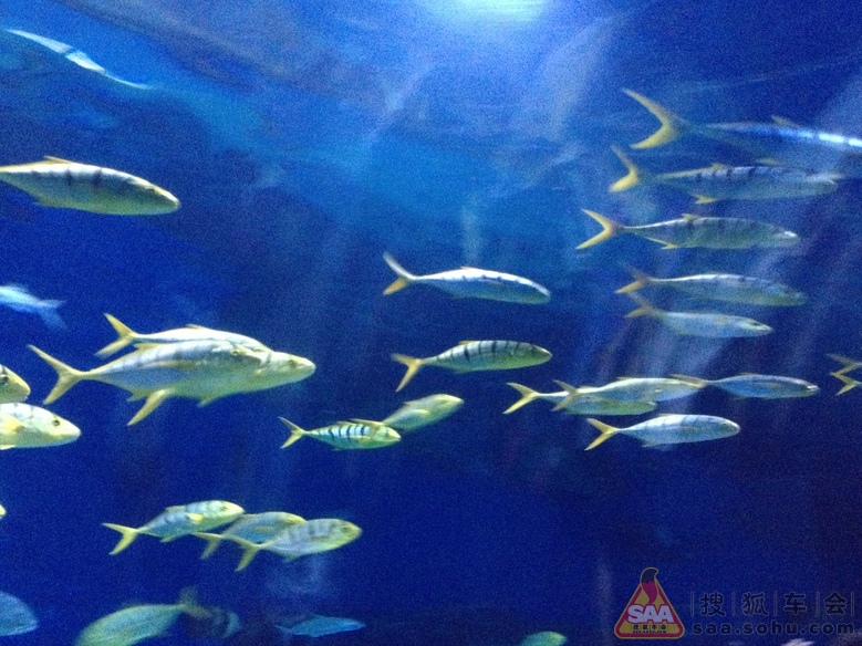 Img7805196_780.jpg