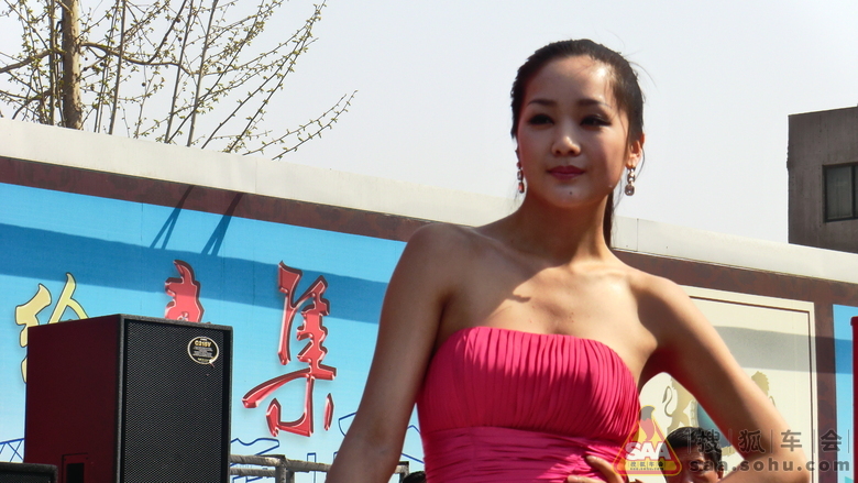 鲜花<em>美女</em>靓车,<em>想看</em>什么?全部满足! - 石家庄车友