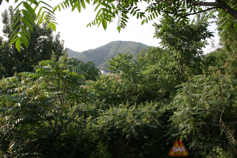 Img4509696_780.JPG