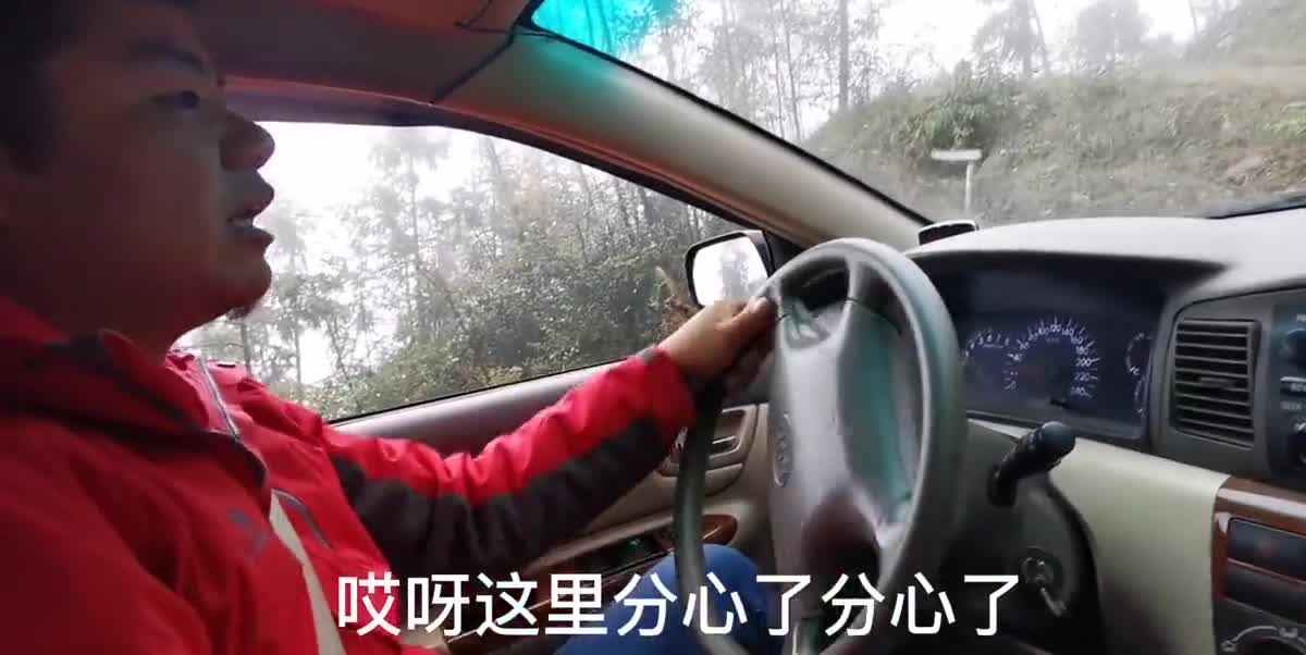 比亚迪F3发挥极致性能，倒车连续山路过弯，村里老太太看呆了