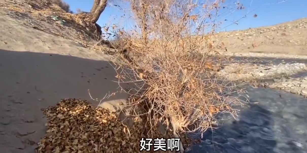 妹子为了这桶水，单人开宝骏510手动挡进沙漠，这条河水质太好