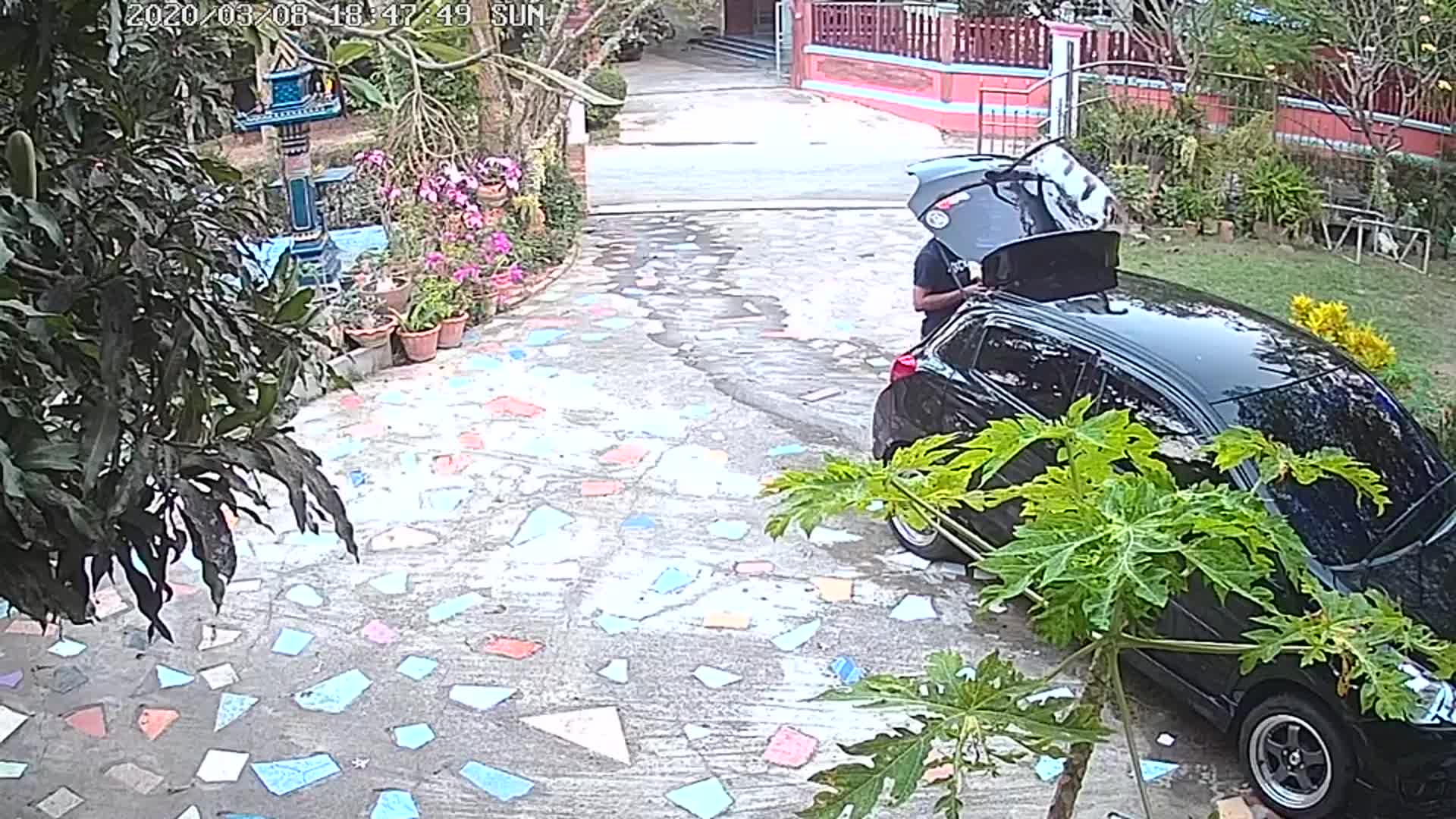 喵星人跳上汽车关下后备箱，砸到主人头