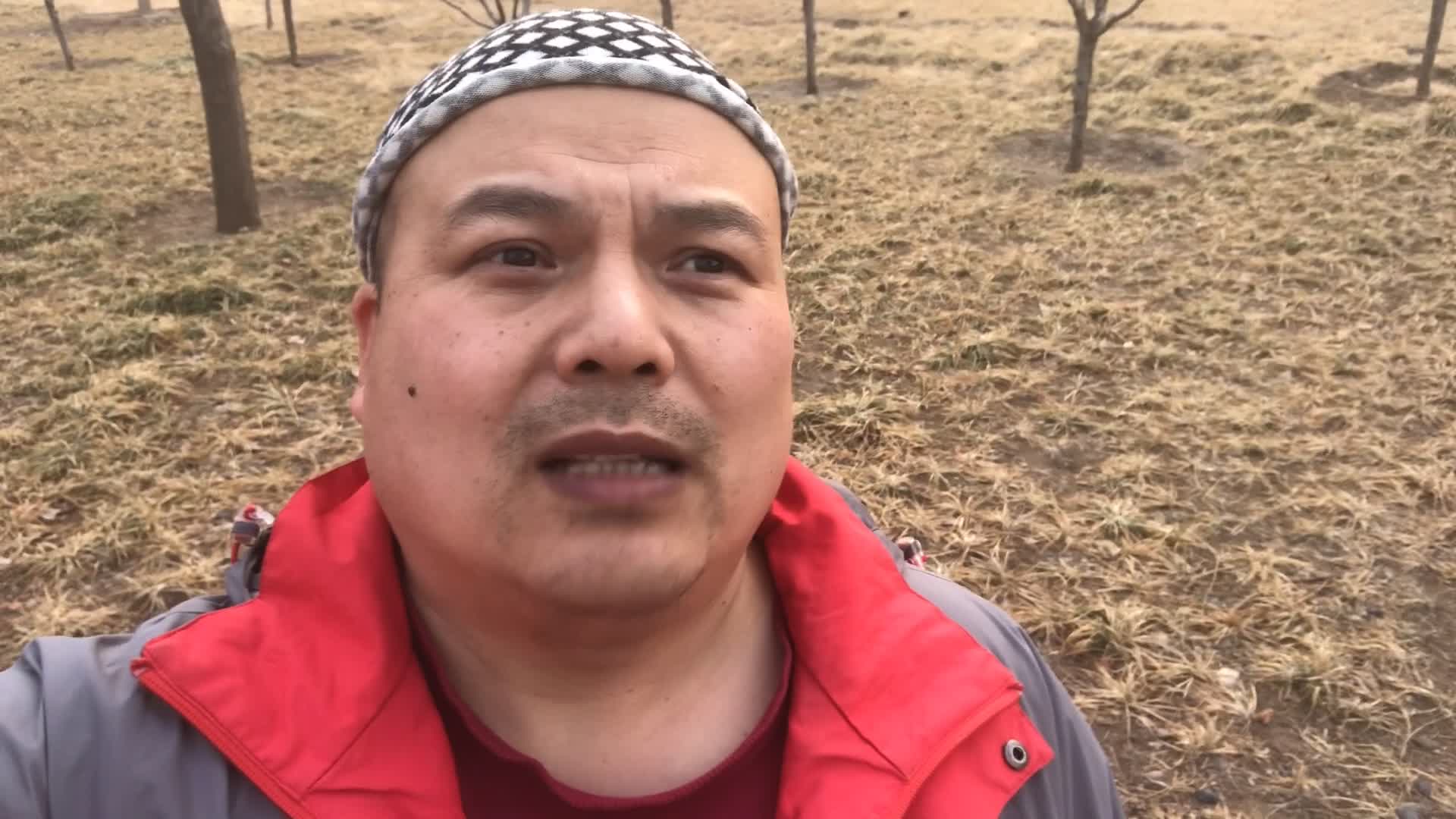 每日一车：帕拉丁4.0