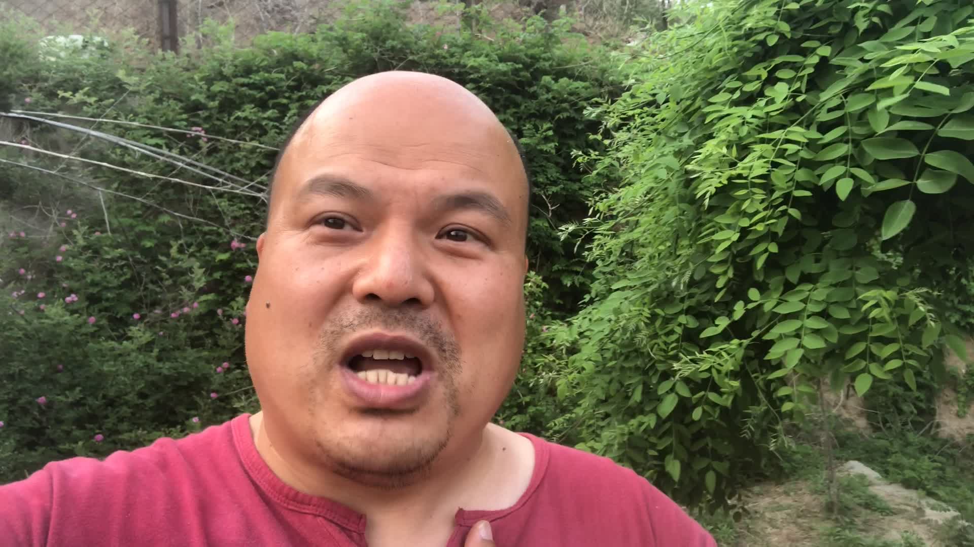 每日一车：东风日产阳光
