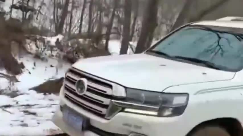 监控：丰田兰德酷路泽实地越野，爬坡还得猛禽拖车，真尴尬！