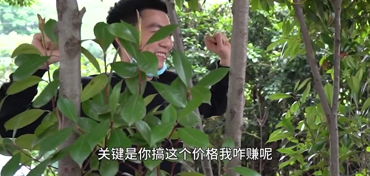 秒思域的3缸小钢炮吉利缤越，开2年就亏一半！买国产新车值吗？