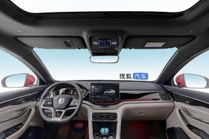 2021款 旗舰型