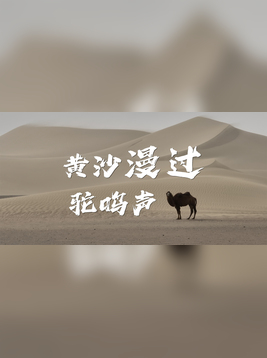 《黄沙漫过驼鸣声》